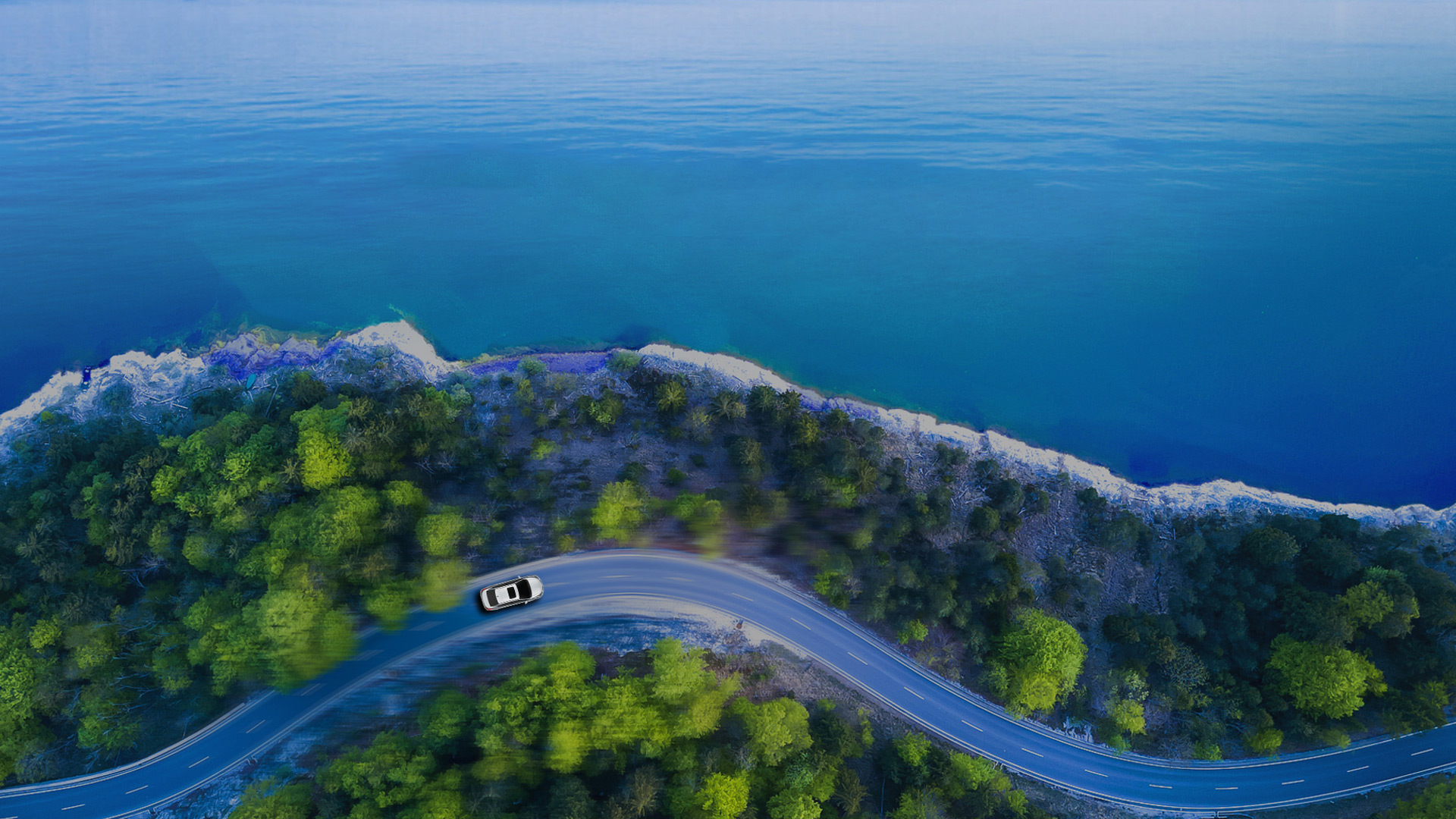 全球非轮胎橡胶制品8强